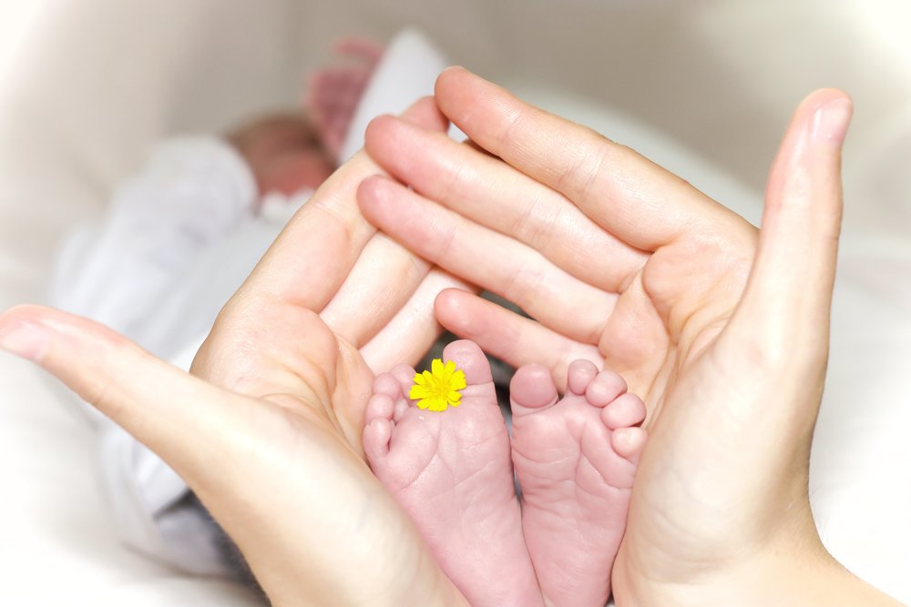 Hands Holding Newly Birth Baby Feet with Yellow Flower